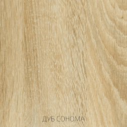 Шкаф-пенал со стеклом низкий ШК-007 Эколь